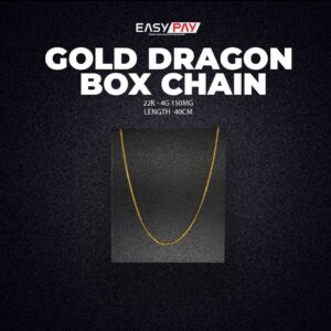 GOLD DRAGON BOX CHAIN